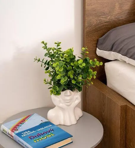 Apartmán Free Parking- Newly Built *